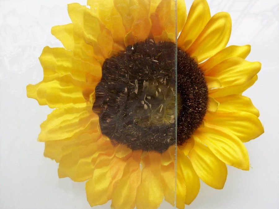 Hammered textured glass, shown over a sunflower