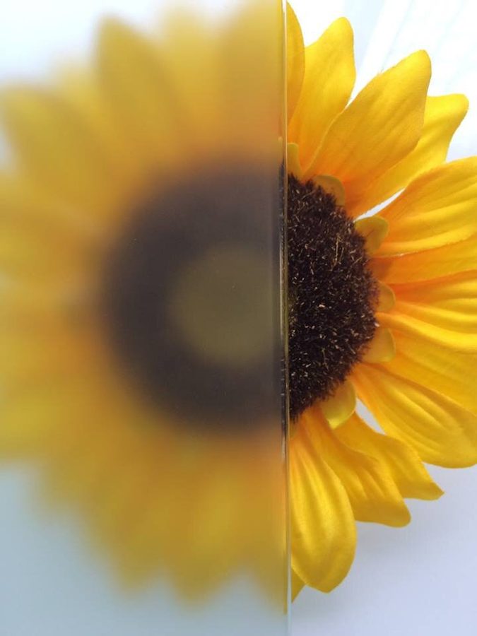 Matte / Satin textured glass, shown over a sunflower
