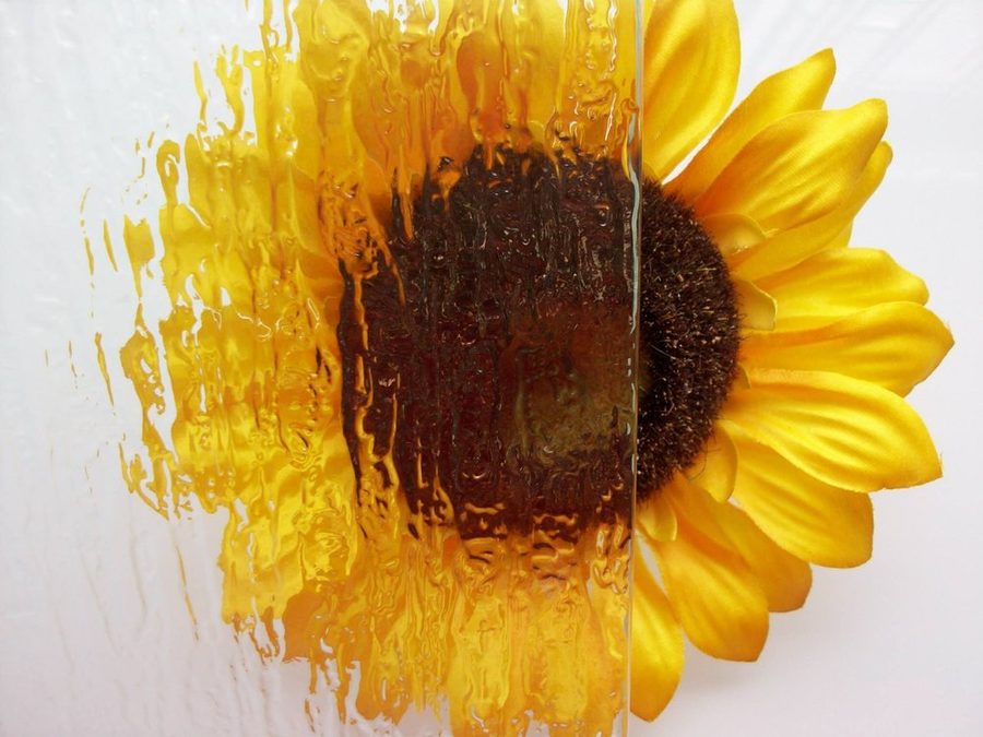Rain textured glass, shown over a sunflower