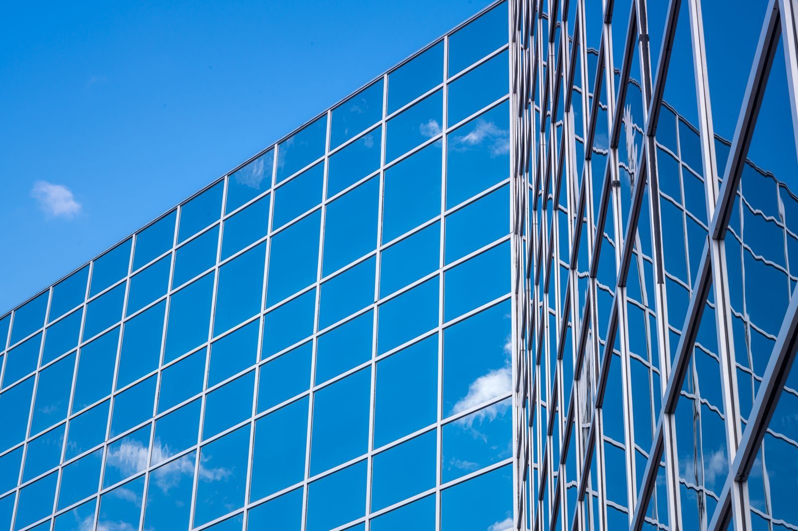 Curtain wall glass and mullions